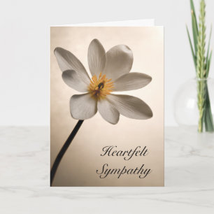 Carte Sympathie des Fleurs sauvages blancs