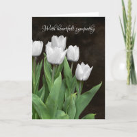 Sympathie des Tulipes blanches
