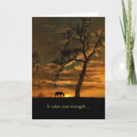 Sympathie du cheval Monter le cheval vers le bas