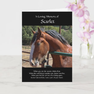 Carte Sympathie du cheval Nom et photo personnalisés