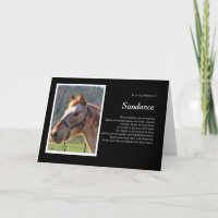 Sympathie du cheval Photo personnalisée et nom spi