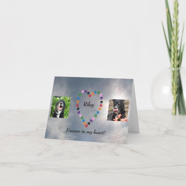 Carte Sympathie du coeur d'un Empreinte de patte multico (Devant)