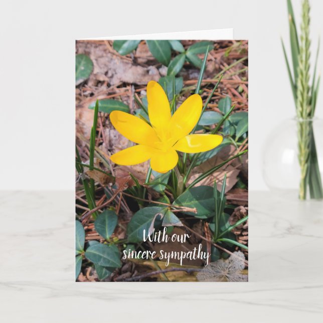 Carte Sympathie du crocus de printemps jaune (Devant)