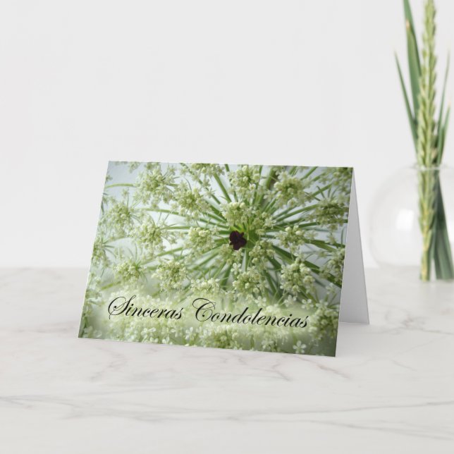 Carte Sympathie en espagnol, dentelle de la reine Anne,  (Devant)