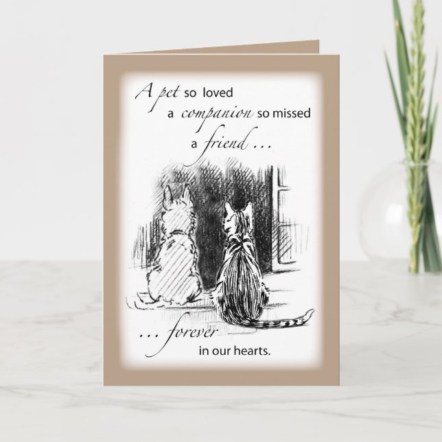 Carte Sympathie entre animal, chien et chat (Devant)