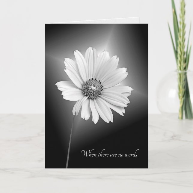 Carte sympathie fleur cosmos blanc (Devant)