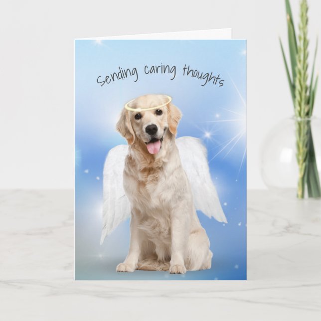 Carte Sympathie Golden Retriever Perte d'animal de compa (Devant)