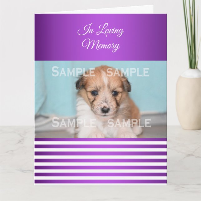 Carte Sympathie perte animal violet blanc | Photo (Devant)