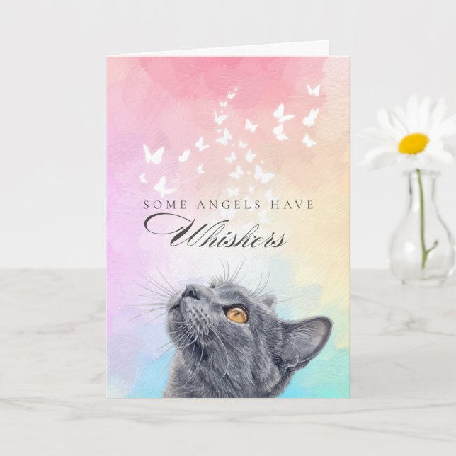 Carte Sympathie Perte Chat Arc-en-Ciel Papillon Gris à M (Petite plante)