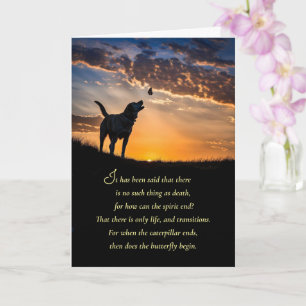 Carte Sympathie Perte de Chien Animal de Compagnie avec