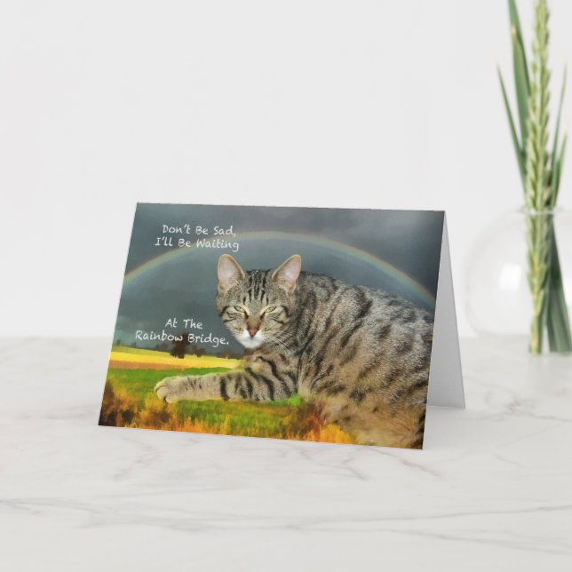 Carte Sympathie - Perte du chat Tabby pour animal de com (Devant)