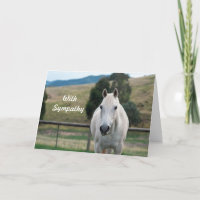 Sympathie photo de l'appaloosa du beau cheval blan