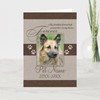 Sympathie pour animal de compagnie