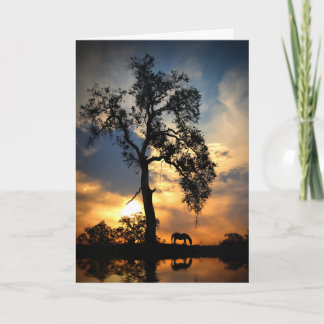 Carte Sympathie pour cheval arbre de chêne et eau