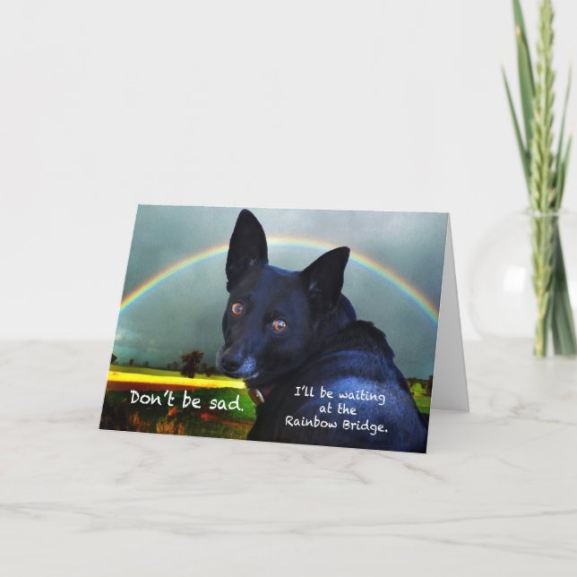 Carte Sympathie pour la perte de l'animal (Devant)