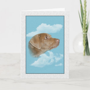 Carte Sympathie pour la perte de l'animal de compagnie