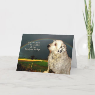 Carte Sympathie pour la perte du chien de compagnie