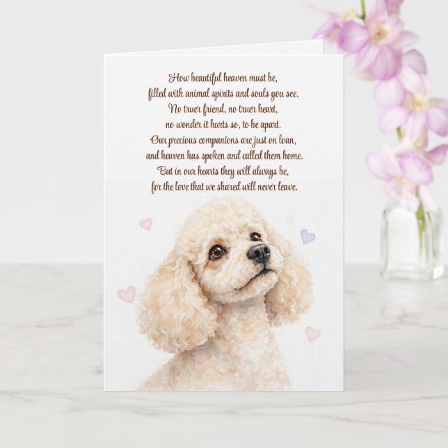 Carte Sympathie pour la perte d'un caniche (Orchidée)