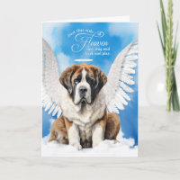 Sympathie pour un animal Perte d'un chien Saint Be