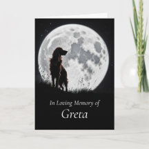 Sympathie pour un chien Magnifique Setter Irlandai