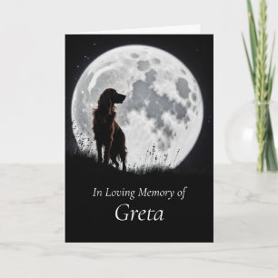 Carte Sympathie pour un chien Magnifique Setter Irlandai