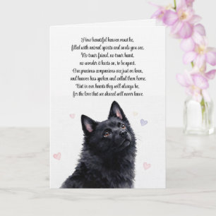 Carte Sympathie pour un Schipperke Disparu Spirituel