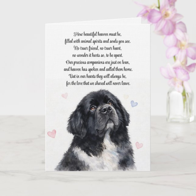 Carte Sympathie pour un Terre-Neuve Obsèques (Orchidée)