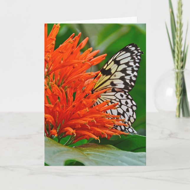 Carte Sympathie profonde avec papillon (Devant)