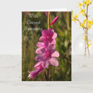 Carte Sympathie rose floral blanc Script Message Photo