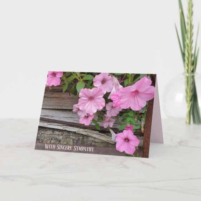Carte Sympathie rose Petunia (Devant)
