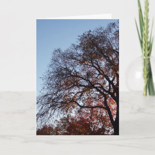 Carte Sympathie Silhouette Arbres
