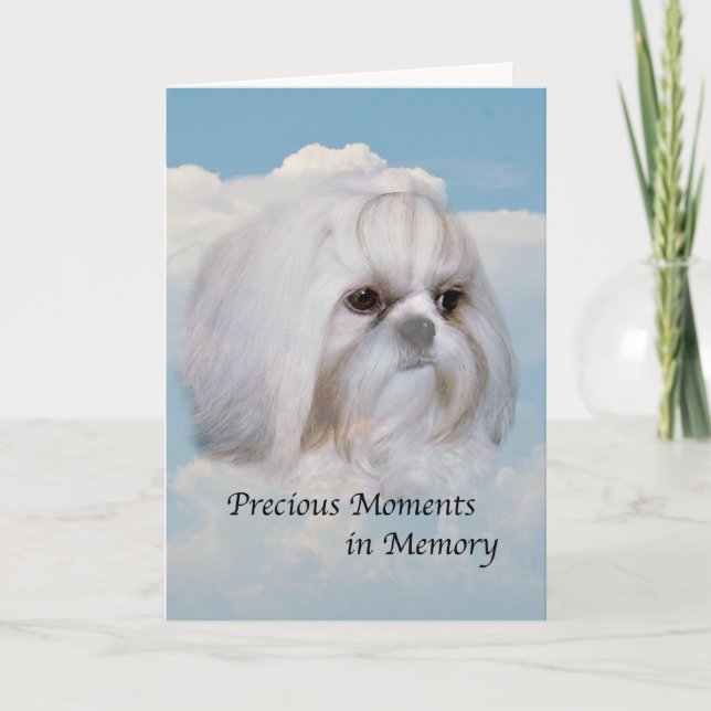 Carte Sympathie sur la mort du chien (Devant)