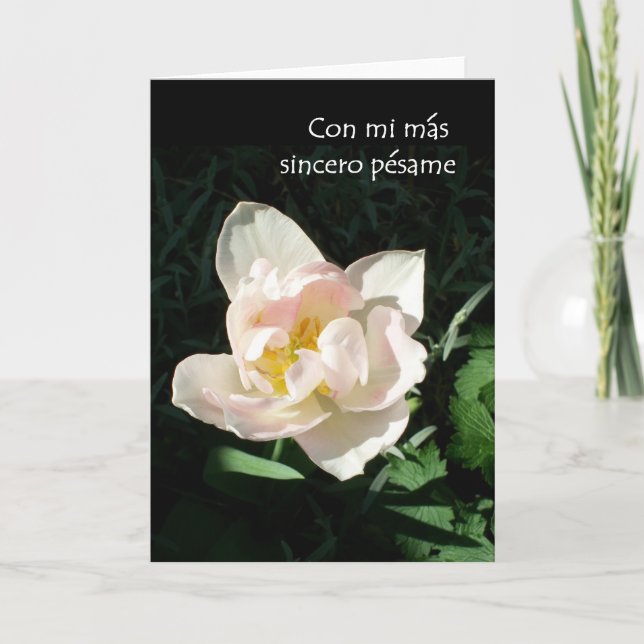 Carte Sympathique 'Tulip' - Salutation espagnole (Devant)