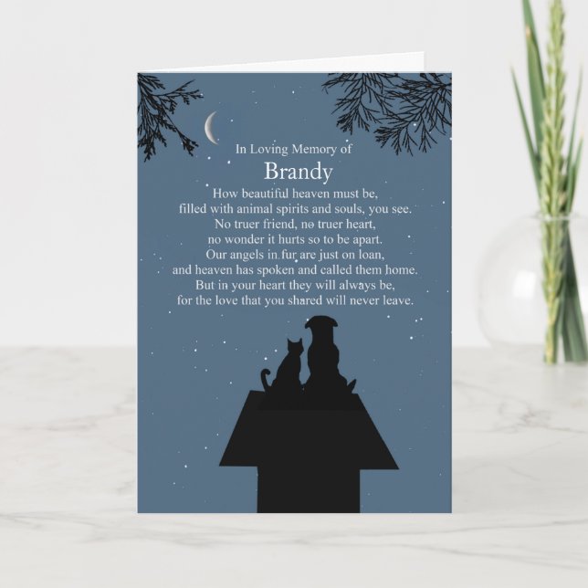 Carte Sympathy Animal Chien Chat Spirituel Poème Ciel (Devant)