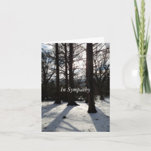 Carte Sympathy arbres d'hiver dans la lumière du s
