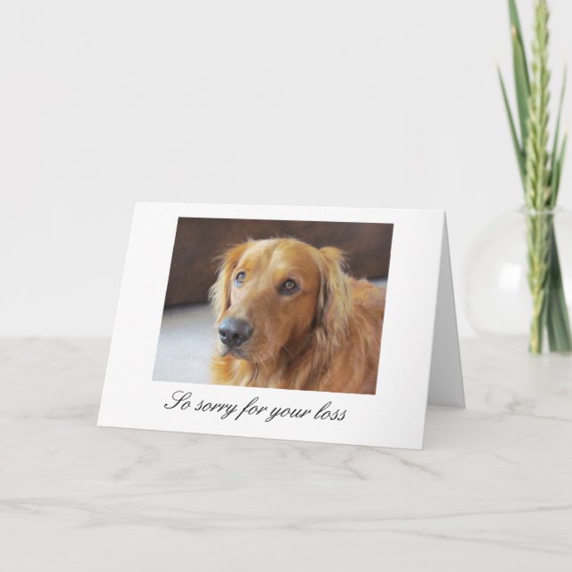 Carte Sympathy avec Golden Retriever (Devant)