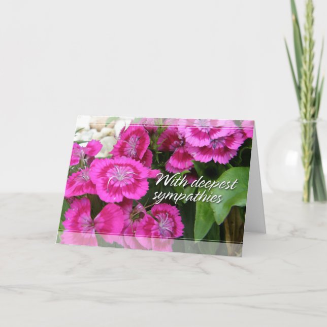 Carte Sympathy Cards (Devant)