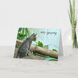 Carte Sympathy Cat