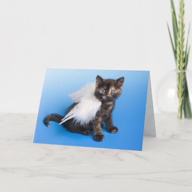 Carte Sympathy Cat (Devant)