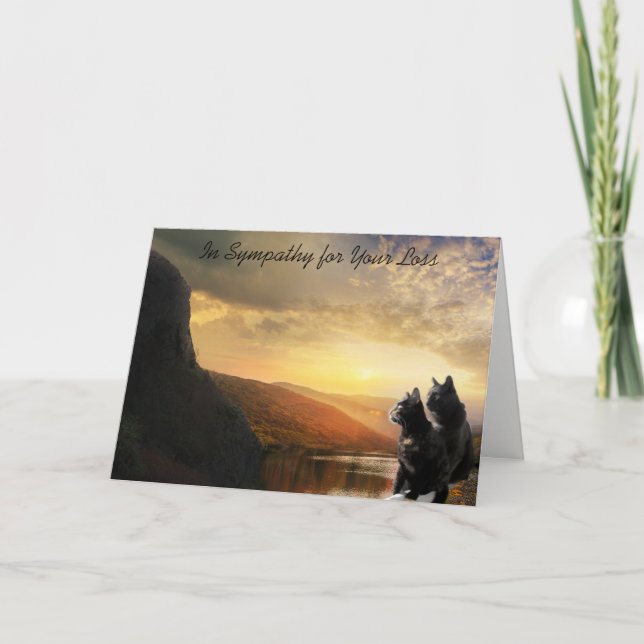 Carte Sympathy Death of Pet Cat (Devant)