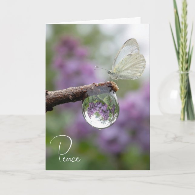 Carte Sympathy Lilacs Reflecting in a Raindrop  (Devant)