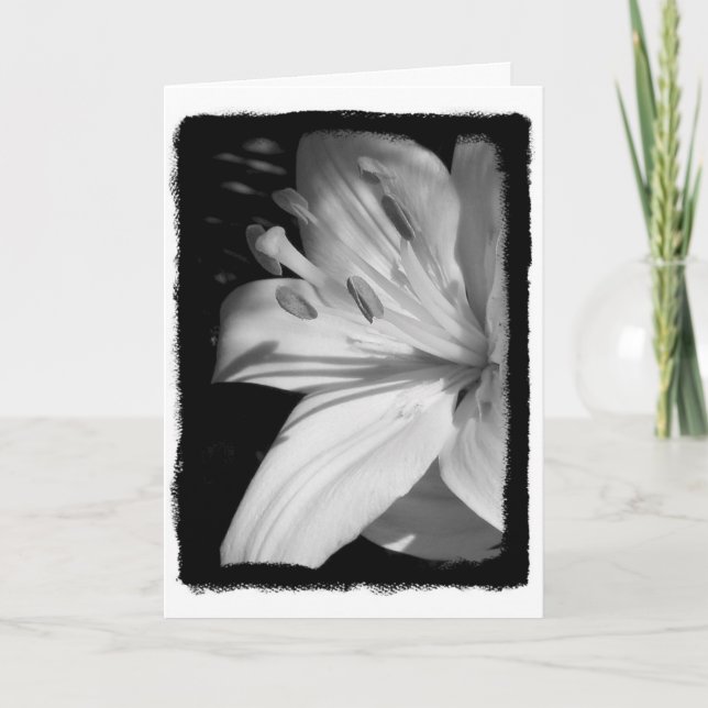 Carte Sympathy Lily (Devant)