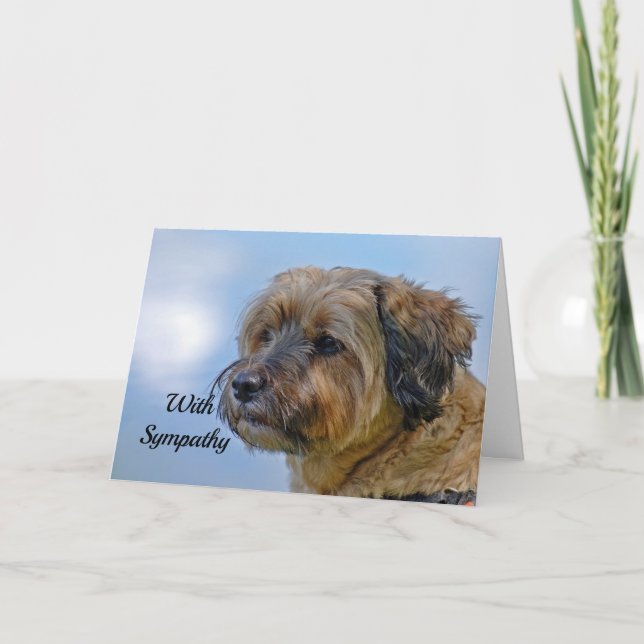 Carte Sympathy Terrier (Devant)