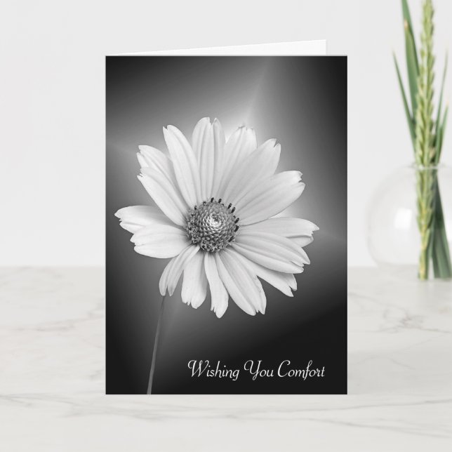Carte Sympathy White Daisy Flower (Devant)