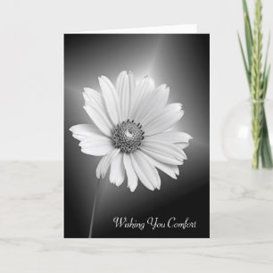 Carte Sympathy White Daisy Flower