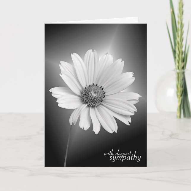 Carte Sympathy White Daisy sur Black (Devant)