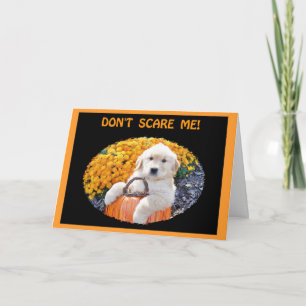 Carte T-shirts de sorcière de chiot de Halloween et