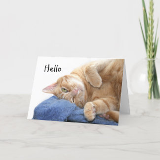 Carte Tabby
