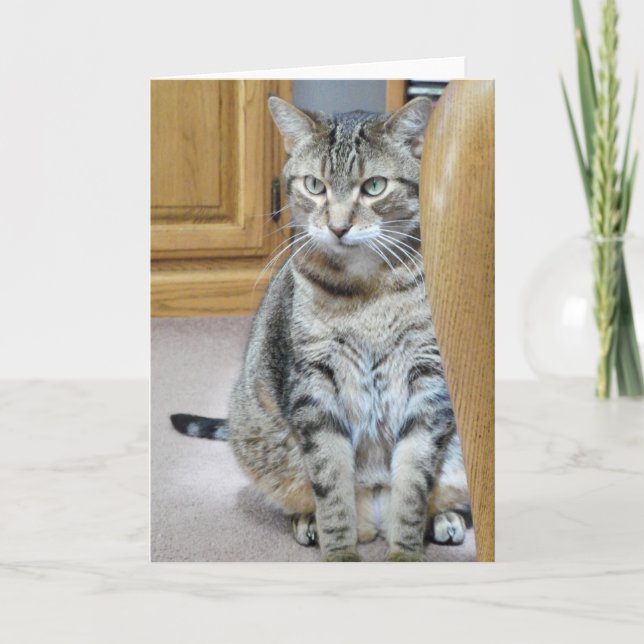 Carte Tabby Cat (Devant)