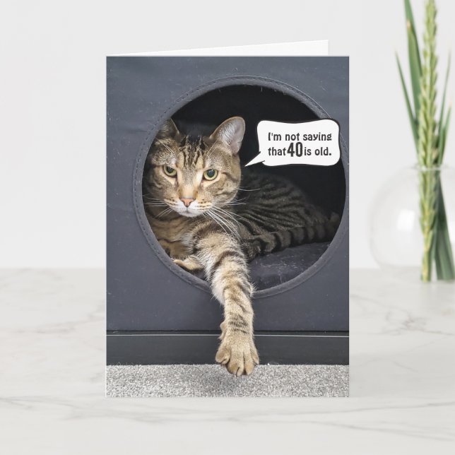 Carte Tabby Cat 40e Humour d'anniversaire (Devant)